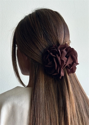 Rose claw Chocolate Pico 